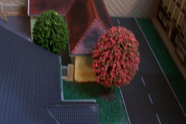 000_1324 [640x480].JPG