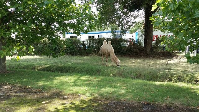 20150901_154510 [640x480].jpg