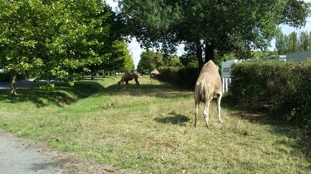 20150901_154425 [640x480].jpg