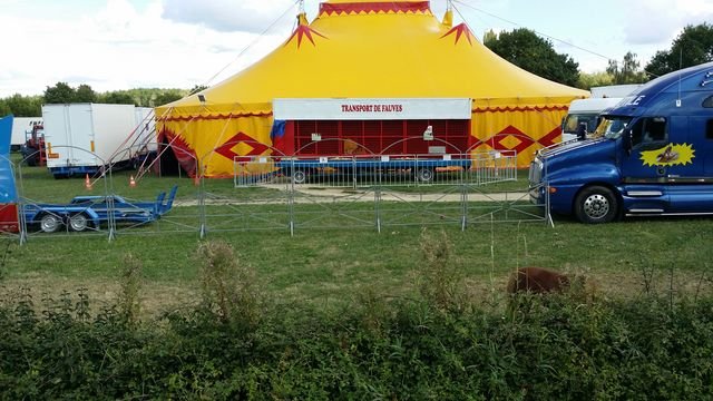 20150901_154244 [640x480].jpg