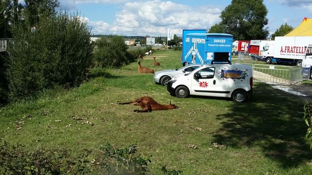 20150901_153820 [640x480].jpg