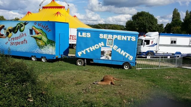 20150901_153739 [640x480].jpg