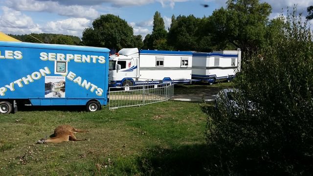 20150901_153733 [640x480].jpg