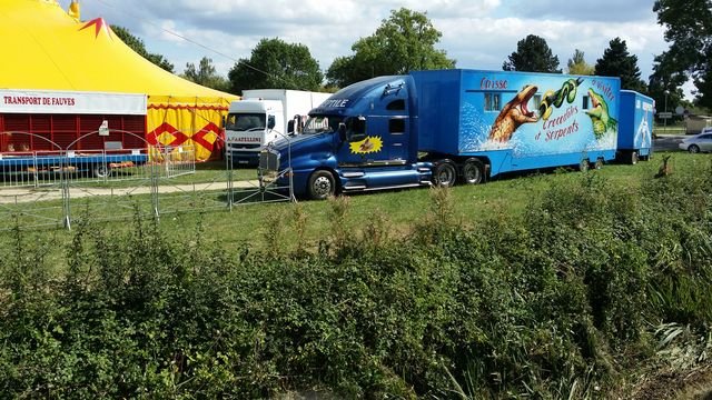 20150901_153651 [640x480].jpg