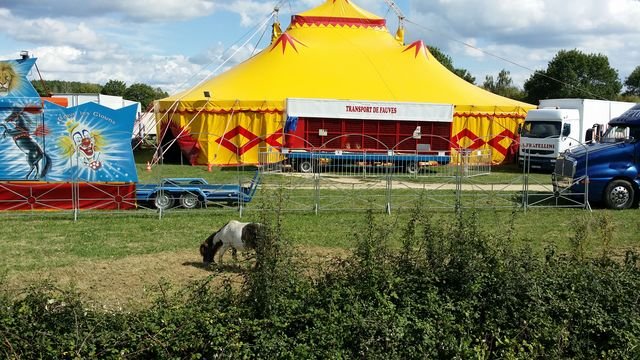 20150901_153646 [640x480].jpg