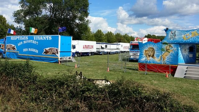 20150901_153633 [640x480].jpg