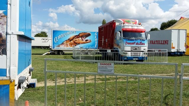 20150901_153446 [640x480].jpg