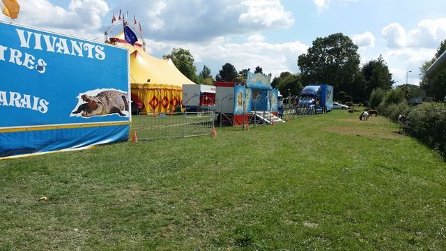 20150901_153419 [640x480].jpg