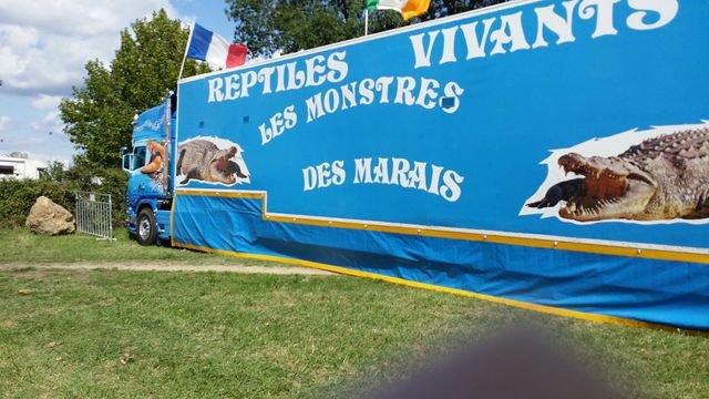 20150901_153533 [640x480].jpg