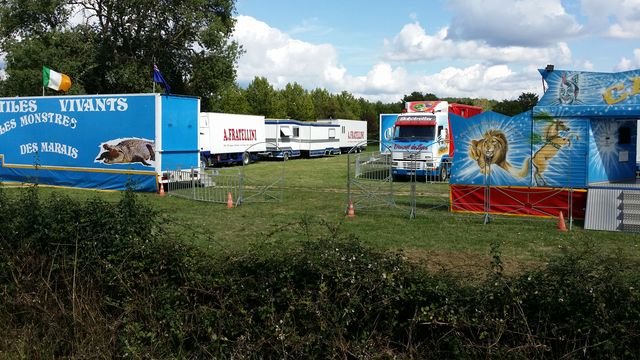 20150901_154309 [640x480].jpg