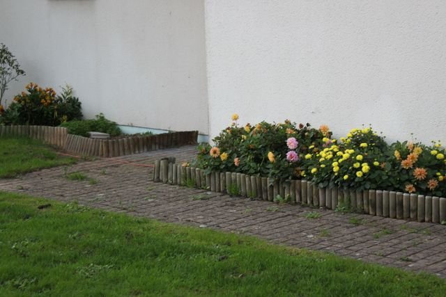 IMG_6274 [640x480] [640x480].JPG