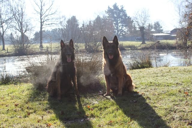 IMG_6172 [640x480].JPG