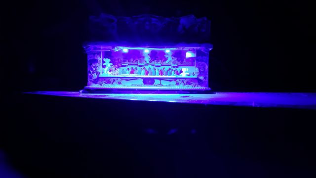 20170114_221641 [640x480].jpg